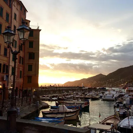 Sguardo Sul Porto Lejlighed Camogli